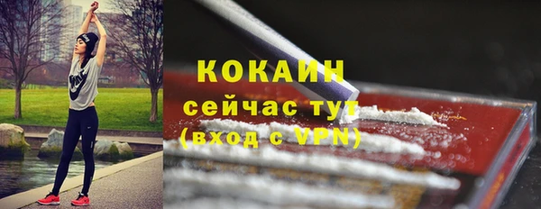 бошки Аша
