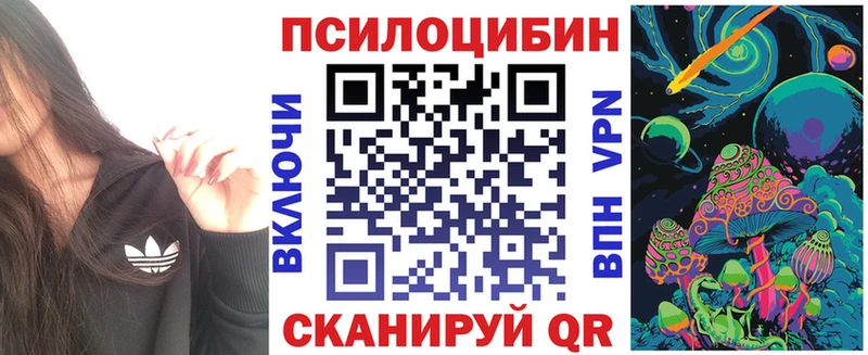 Галлюциногенные грибы Psilocybe  Карабаново 